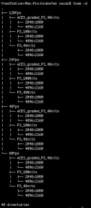 Example of the TREE command only outputting directories (folders).